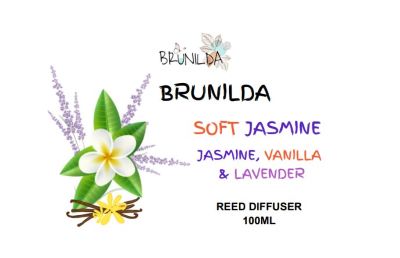 SOFT JASMINE Reed Diffuser 100ML with Car Diffuser